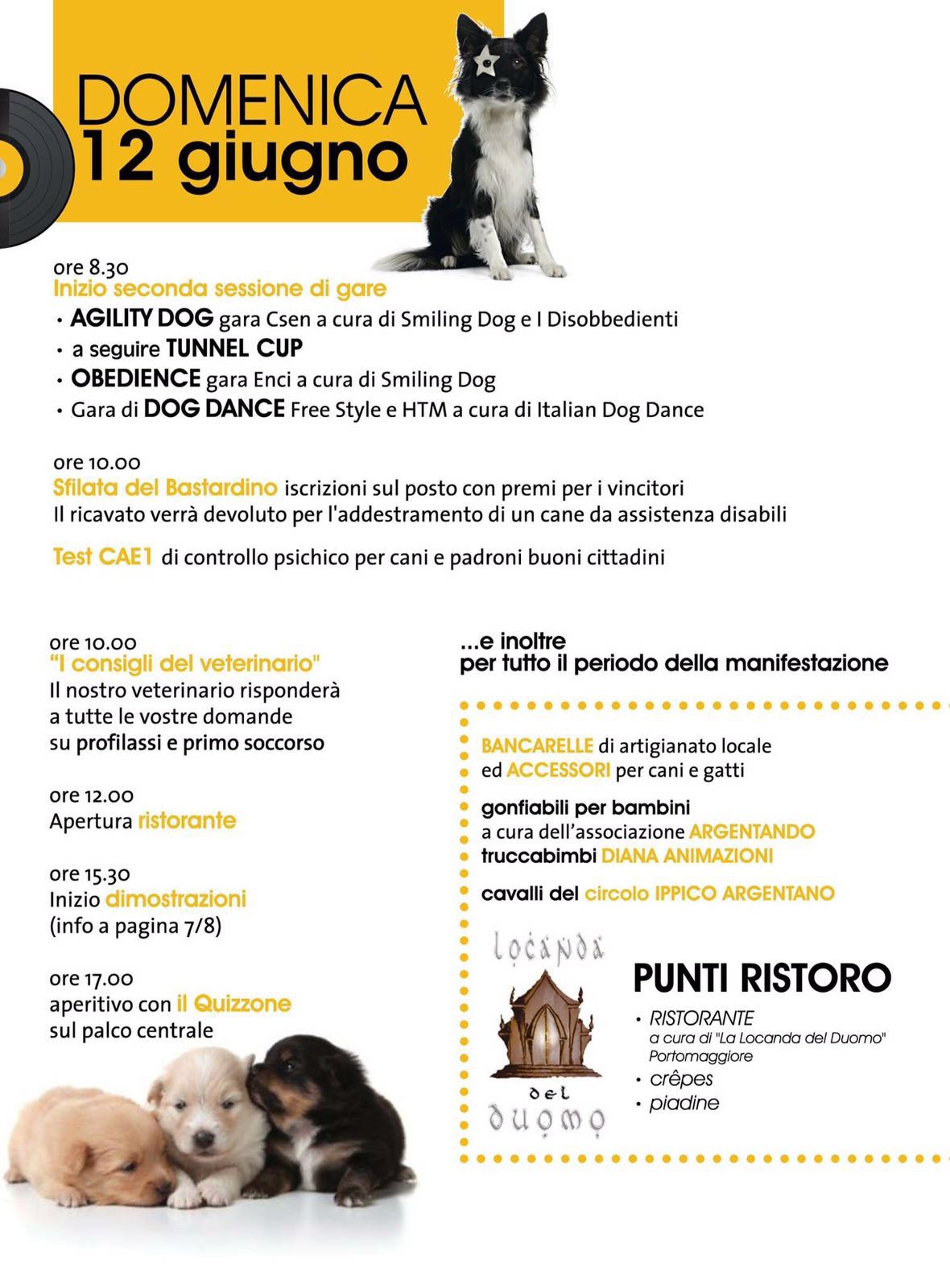 DOG&ROLL